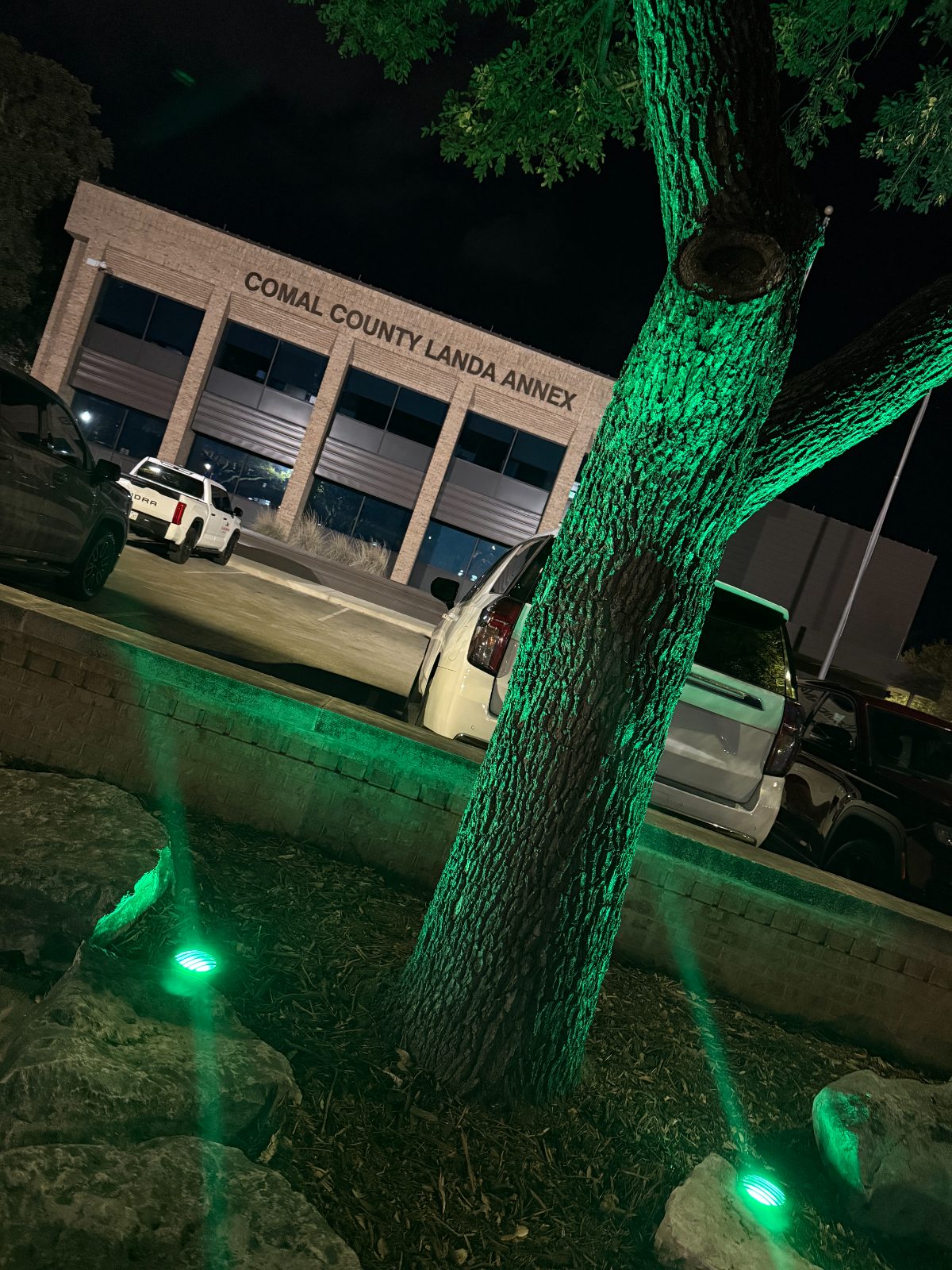 Civic building grounds with an oak uplit in green at night.